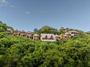 Příroda nedaleko rezortu