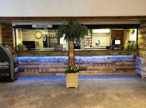 a tree in the middle of a lobby at 39 Perran View Your Home Away from Home in Cornwall in St. Agnes +54 photos