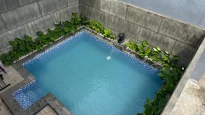 an overhead view of a blue swimming pool with plants at Villa Ostara Kota Batu in Batu +12 photos