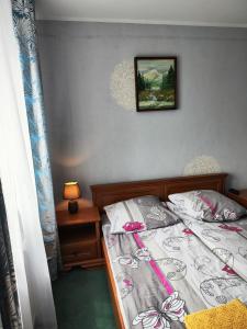 Postel nebo postele na pokoji v ubytování Michałek w Rowach
