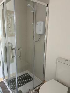 a shower with a glass door next to a toilet at Robins rest in Somerton