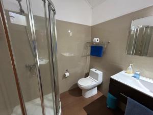 a bathroom with a shower and a toilet and a sink at Hare Village in Hanga Roa