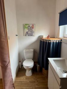a bathroom with a toilet and a blue shower curtain at Casinhas do Marão in Parada