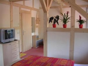 a bedroom with a bed and a tv and potted plants at Haus 'Annelies' in Kurort Rathen