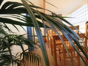 una planta frente a una mesa y sillas en Casa Belos Ares, en Ferrel 25 fotos más