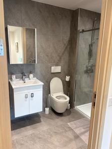 a bathroom with a toilet and a sink and a shower at Studio Flat Above MK Station in Milton Keynes