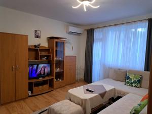 a living room with a couch and a tv at Apartment Beti in Devin