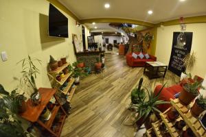 a room filled with lots of potted plants at Hotel Golden Killa in Huaraz +20 photos