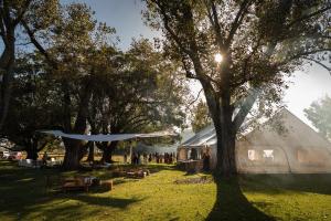 a large dome tent in a field with trees at Estancia El Sosiego in Gualeguay