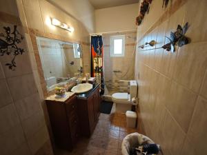 a bathroom with a sink and a toilet and a mirror at Efi's Studio - Marathon in Marathón +9 photos
