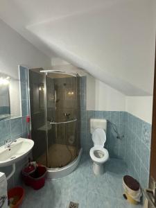 a bathroom with a shower and a toilet and a sink at Casa Iuliana in Sovata +37 photos