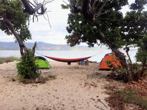 a hammock and tents on a beach next to the water at All-Inclusive Paradise Experience - Boat Tour, Snorkeling & Island Camping 