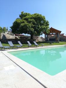 a swimming pool with lounge chairs and a tree at Casa das Japoneiras in Paredes de Coura