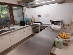 Kuchyň nebo kuchyňský kout v ubytování Haus Nirgendwo