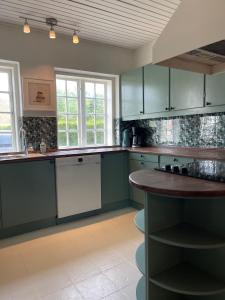 cocina con armarios verdes y encimera de madera en The Farm Managers House at Hindemae Estate Historic Charmed house, en Ullerslev