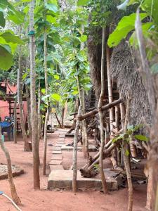 a building with a bunch of trees and stairs at Bamboo hutz in Jāmb