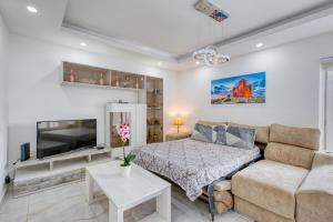 TV a/nebo společenská místnost v ubytování BF RESIDENCE