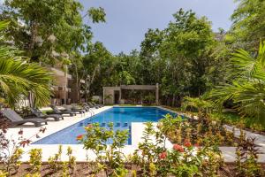 an outdoor swimming pool with lounge chairs and trees at RayoDeSol Condo10min to Beach,Gym,Pool,WIFI 200MB in Playa del Carmen