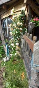a garden with a bench and flowers next to a building at Le val du vieux chêne chambre d'hôtes in Walcourt +64 photos