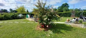 a garden with a tree with flowers in a yard at Le val du vieux chêne chambre d'hôtes in Walcourt