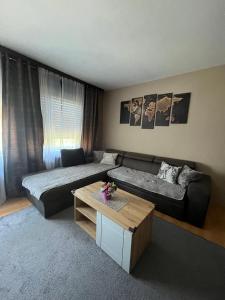 Fotografie z fotogalerie ubytování Family Apartmant v destinaci Petrovaradin