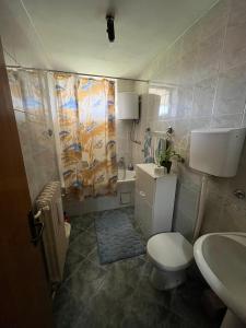 Koupelna v ubytování Family Apartmant