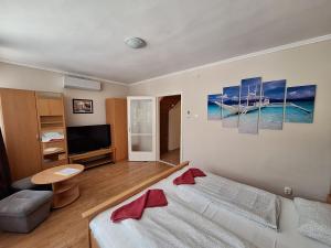 Televízia a/alebo spoločenská miestnosť v ubytovaní Margaréta Apartman - Balatonlelle