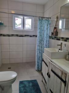 a bathroom with a sink and a toilet at Relaxt vakantiehuis Flamboyante dichtbij 5 stranden in Sint Michiel