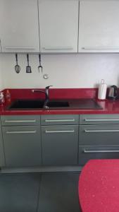 una cucina con lavandino e piano di lavoro rosso di Chambre privée a Villenave-d'Ornon