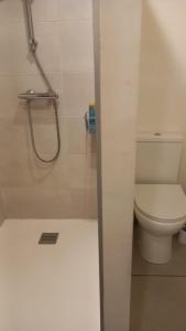 un bagno con wc e box doccia di Chambre privée a Villenave-d'Ornon