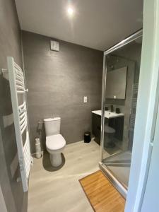 a small bathroom with a toilet and a shower at Charming studio between lakes and mountains in La Biolle