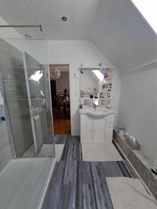 a bathroom with a shower and a sink at Chambre chez l habitant à 10 mn de aéroport  +3 photos