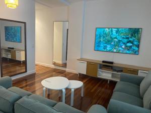 Sjónvarps- og/eða afþreyingartæki á Singular Bilbao Flat
