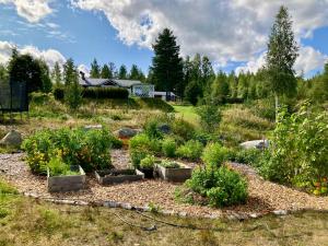 Un jardín fuera de Wonderful barn cabin in Järvsö Harsa