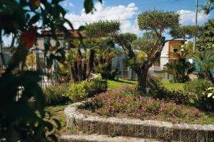 Vonkajšia záhrada v ubytovaní Albergo Pompei Valley
