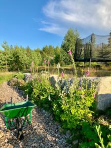 Un jardín fuera de Wonderful barn cabin in Järvsö Harsa