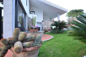 a garden with cactuses and plants in front of a house at Acquamarina in Civitavecchia