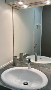 ein Badezimmer mit einem weißen Waschbecken und einem Spiegel in der Unterkunft La Tranquille - Maison pour 3 familles in La Michelière