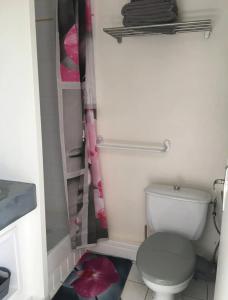 ein kleines Badezimmer mit Toilette und Dusche in der Unterkunft La Tranquille - Maison pour 3 familles in La Michelière