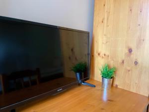 TV a/nebo společenská místnost v ubytování Bungalows of Yug