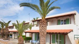 a palm tree in front of a house at Stefanie Studios in Egina