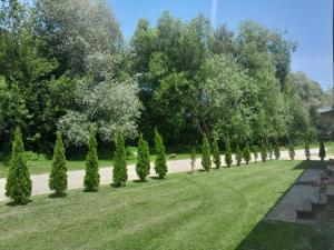 Zahrada ubytování Domek nad Dunajcem