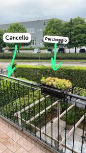 Billede fra billedgalleriet på Whynot book i Romano D'Ezzelino