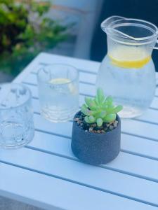 a small potted plant sitting on a table with glasses at Cute little Penthouse in the Heart of Sliema in Sliema +1 photo