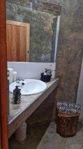 a bathroom with a sink and a mirror at Merwespont Guesthouses#DieHouthuis#Die Wyntenke#A Snoozer's Cottage# in Bonnievale
