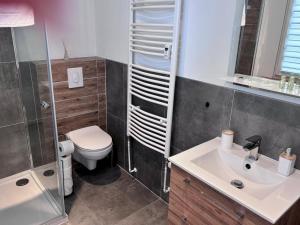 a bathroom with a toilet and a sink and a shower at Pensjonat Eden Apartament 5 in Borne Sulinowo