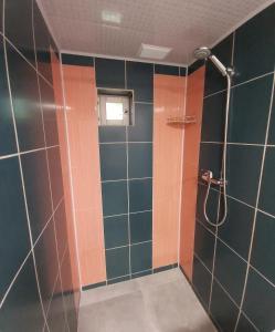 a bathroom with a shower with green and orange tiles at AlongtheWay E77 in Ieriķi +12 photos