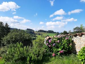 a stone wall with flowers in a field at La chambre du lac in Meaux-la-Montagne