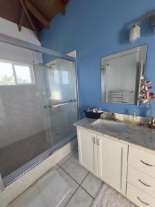 a bathroom with a shower and a sink and a mirror at Itopia in Gros Islet +30 photos