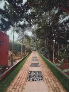 Taman di luar Garcinia Leaf